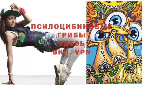 spice Лабытнанги