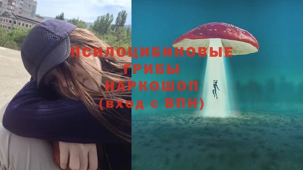 PSILOCYBIN Лагань