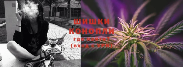PSILOCYBIN Лагань