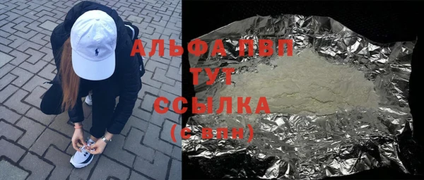 PSILOCYBIN Лагань