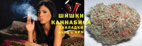spice Лабытнанги