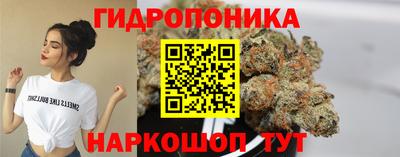 альфа пвп Аргун
